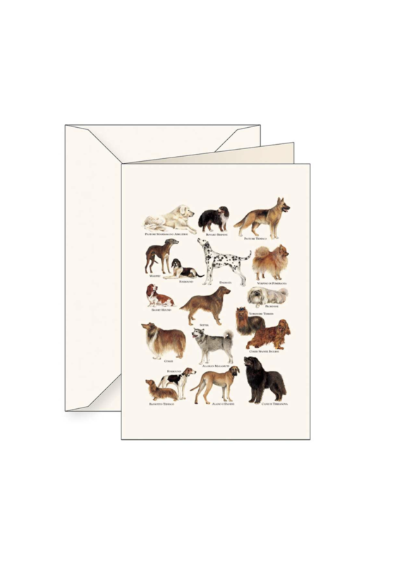 Tassotti Dog Greeting Card