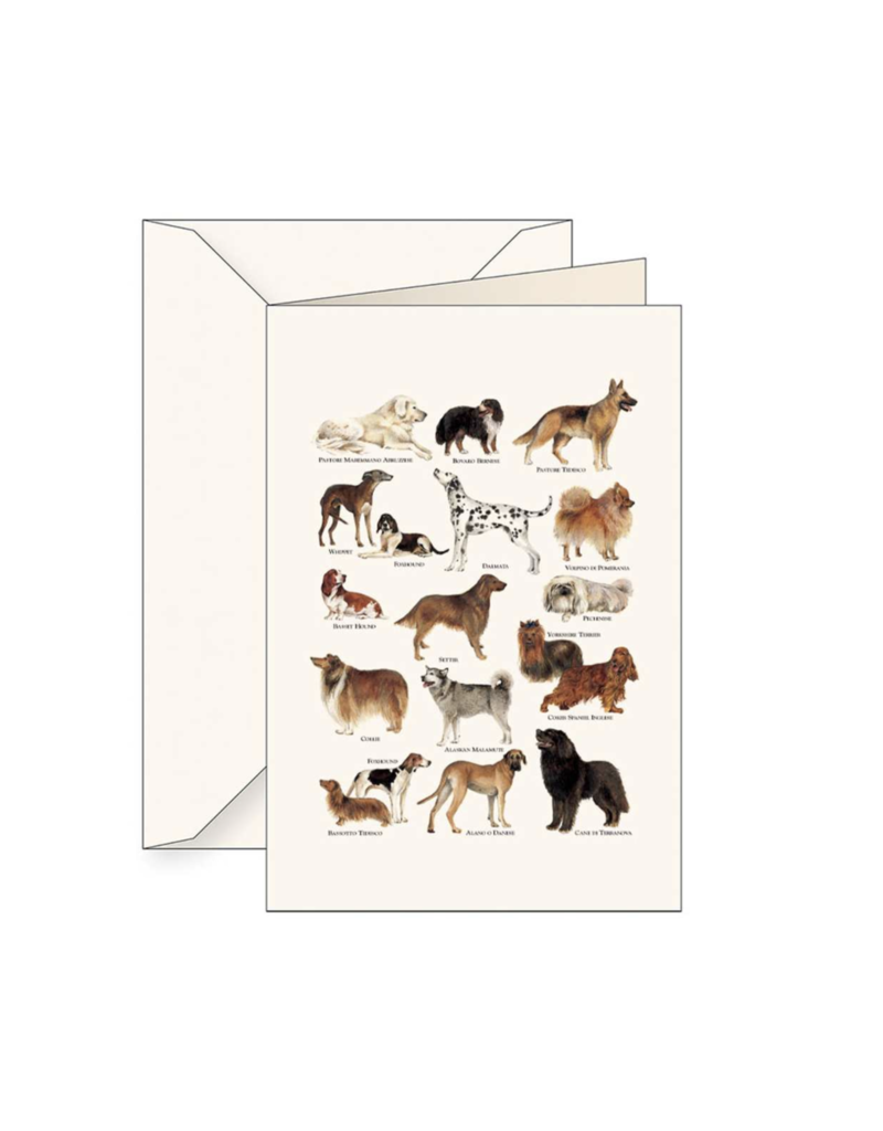 Tassotti Dog Greeting Card