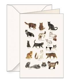 Tassotti Cats Greeting Card
