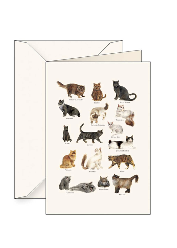 Tassotti Cats Greeting Card