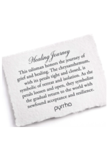 Pyrrha Pyrrha-Healing Journey