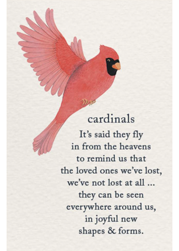 Meaning Of Life-A Cardthartic Experience Cardinals Grief Support Greeting Card
