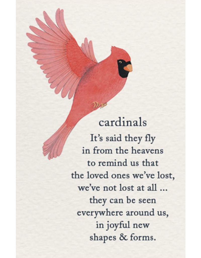 Meaning Of Life-A Cardthartic Experience Cardinals Grief Support Greeting Card