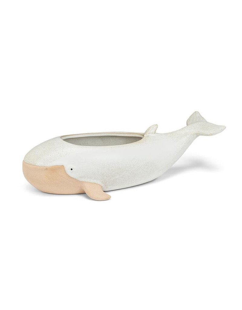 Abbott Long Whale Planter-5.5x12"L
