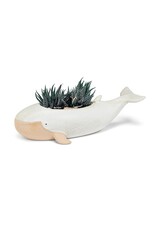 Abbott Long Whale Planter-5.5x12"L