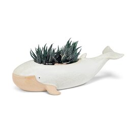 Abbott Long Whale Planter-5.5x12"L