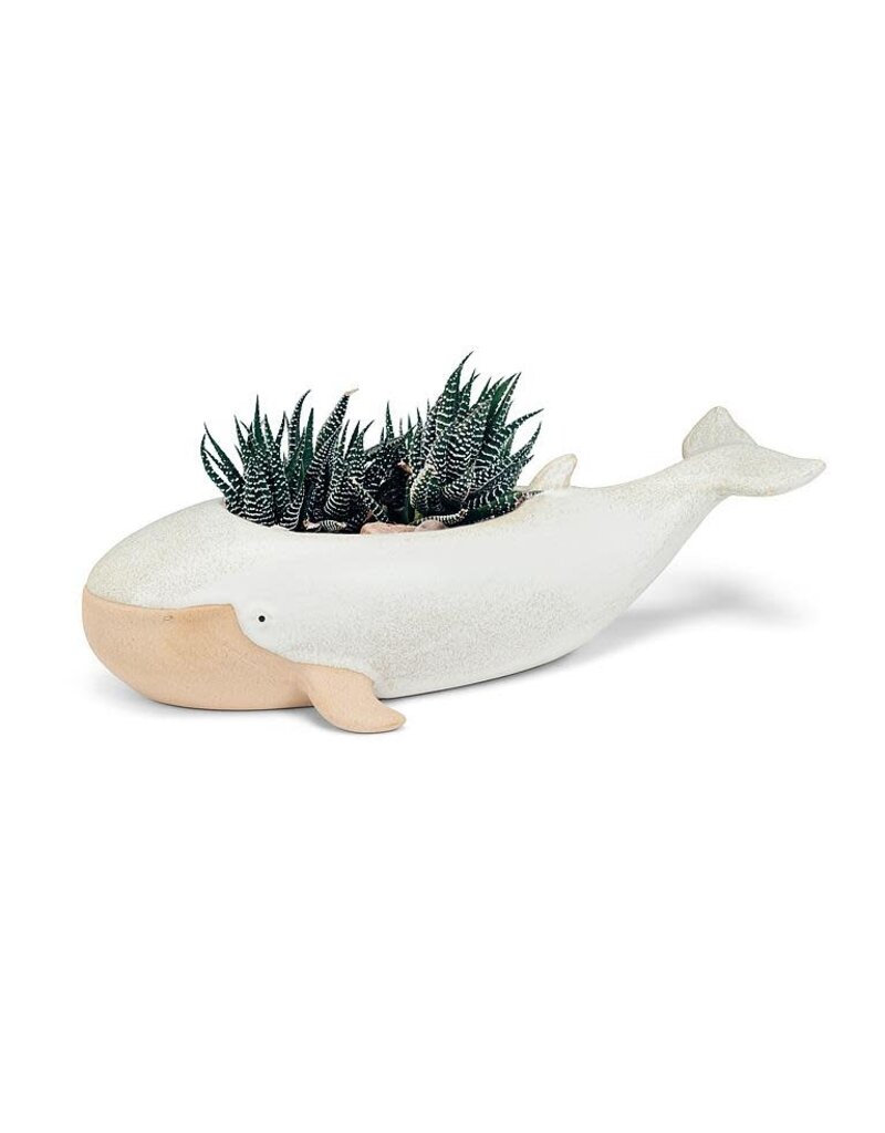 Abbott Long Whale Planter-5.5x12"L