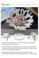 Abbott 3D Starfish-White-LG-14"W