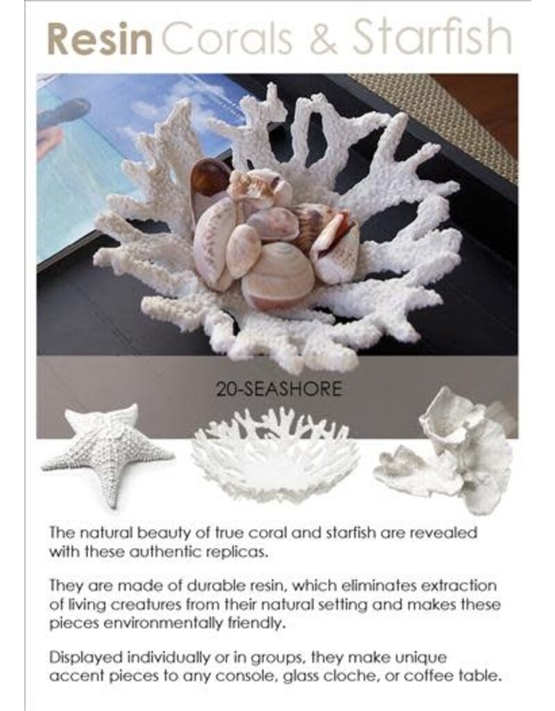 Abbott 3D Starfish-White-LG-14"W