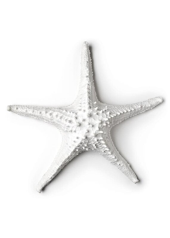 Abbott 3D Starfish-White-LG-14"W
