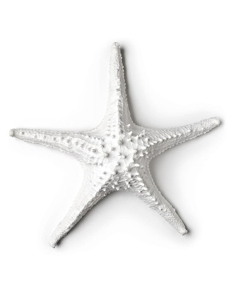 Abbott 3D Starfish-White-LG-14"W