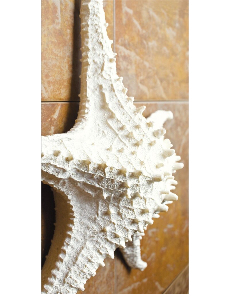 Abbott 3D Starfish-White-LG-14"W