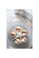 Abbott 3D Starfish-White-7.5"