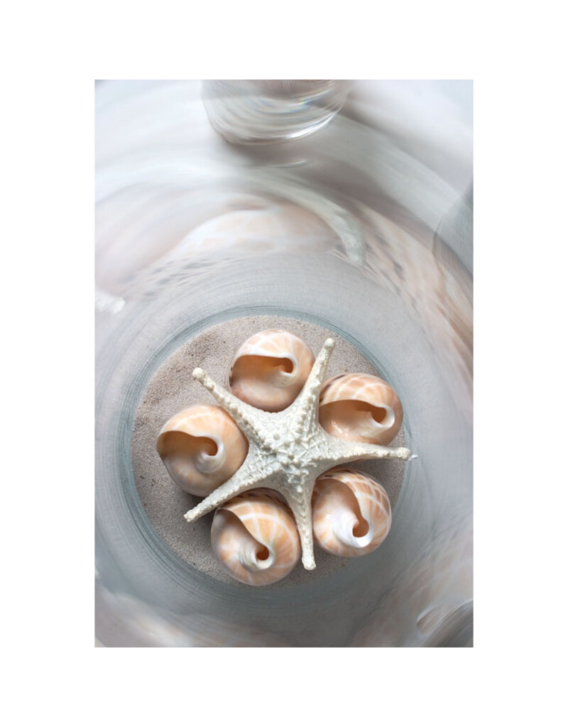 Abbott 3D Starfish-White-7.5"