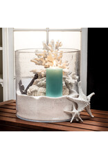 Abbott 3D Starfish-White-7.5"