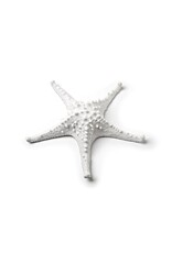 Abbott 3D Starfish-White-7.5"