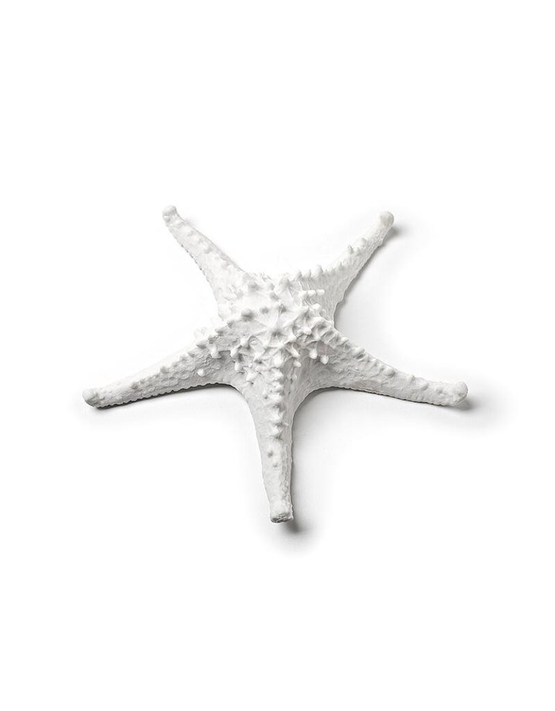 Abbott 3D Starfish-White-7.5"