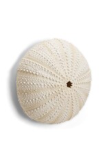 Abbott Urchin Wall Decor-LG-9.5"H