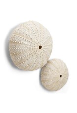 Abbott Urchin Wall Decor-LG-9.5"H