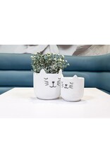 Abbott Sleeping Cat Planter-4.5"H