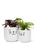 Abbott Sleeping Cat Planter-4.5"H
