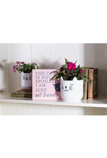 Abbott Sleeping Cat Planter-4.5"H