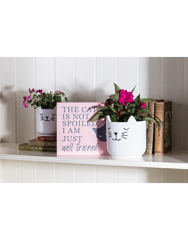 Abbott Sleeping Cat Planter-4.5"H