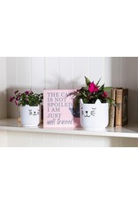 Abbott Sleeping Cat Planter-4.5"H