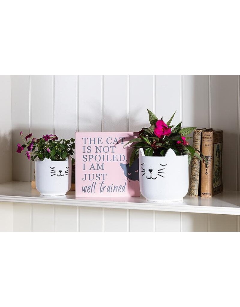 Abbott Sleeping Cat Planter-4.5"H