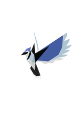 Poly Paper Craft Blue Jay 3D Puzzle