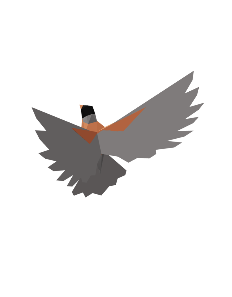 Poly Paper Craft Robin 3D Puzzle