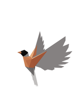 Poly Paper Craft Robin 3D Puzzle