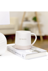 Pavilion Love You Bitch-17oz Mug