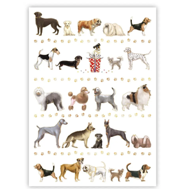 QUIRE Happy Birthday Dogs Greeting Card