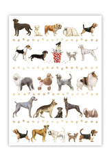 QUIRE Happy Birthday Dogs Greeting Card