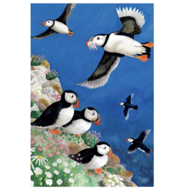 Abacus Cards Puffin Flying Greeting Card
