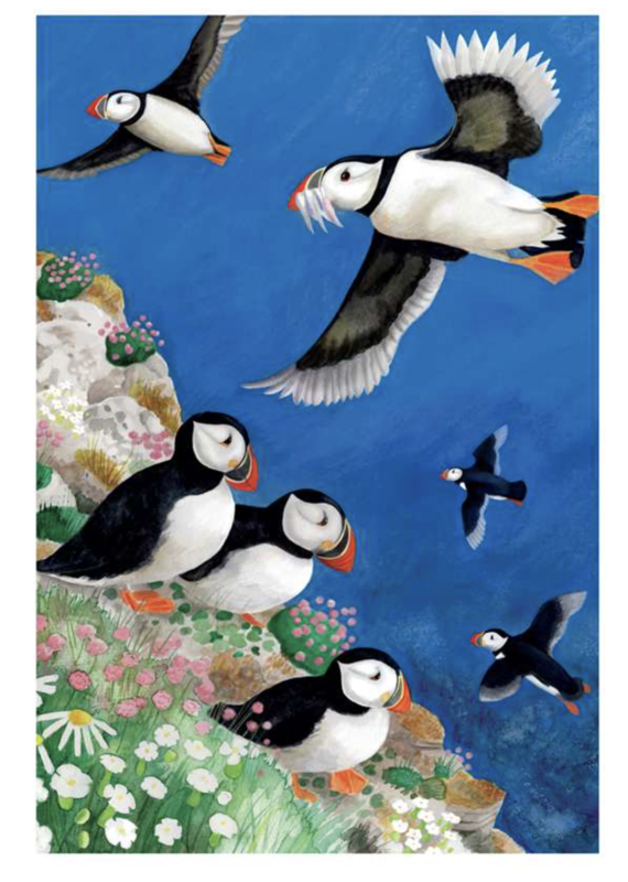 Abacus Cards Puffin Flying Greeting Card