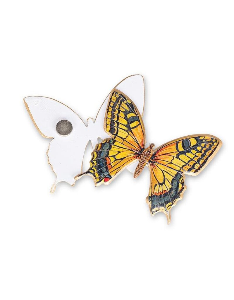Abbott Butterfly-Two-Sided Magnet Decor-2"W