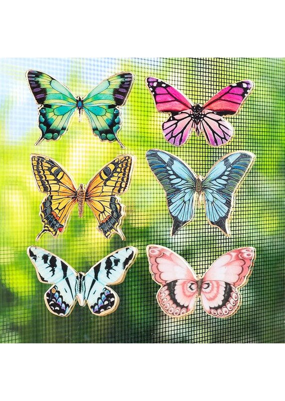 Abbott Butterfly-Two-Sided Magnet Decor-2"W