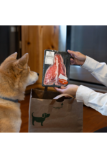 Pavilion Steak-Canvas Dog Toy