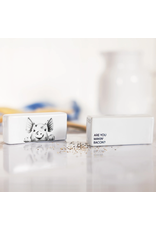 Pavilion Bacon-Salt&Pepper Shaker