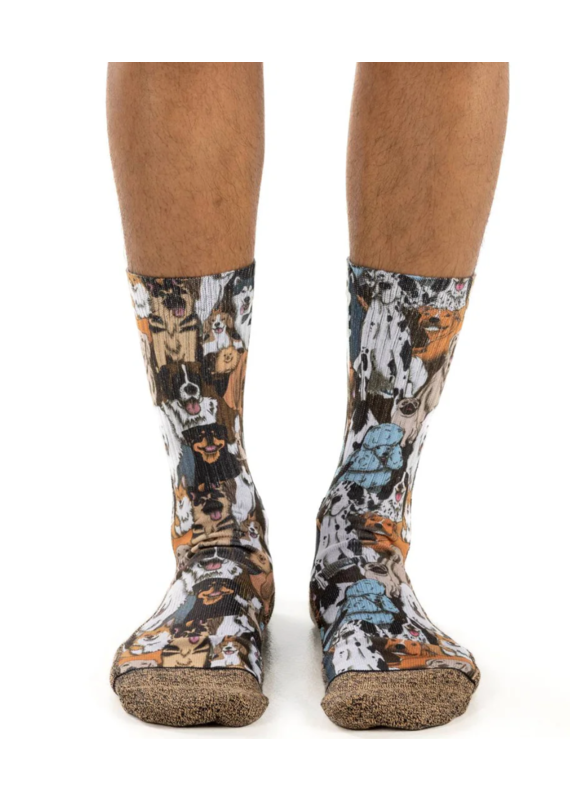 Good Luck Socks Men's Social Dog Socks