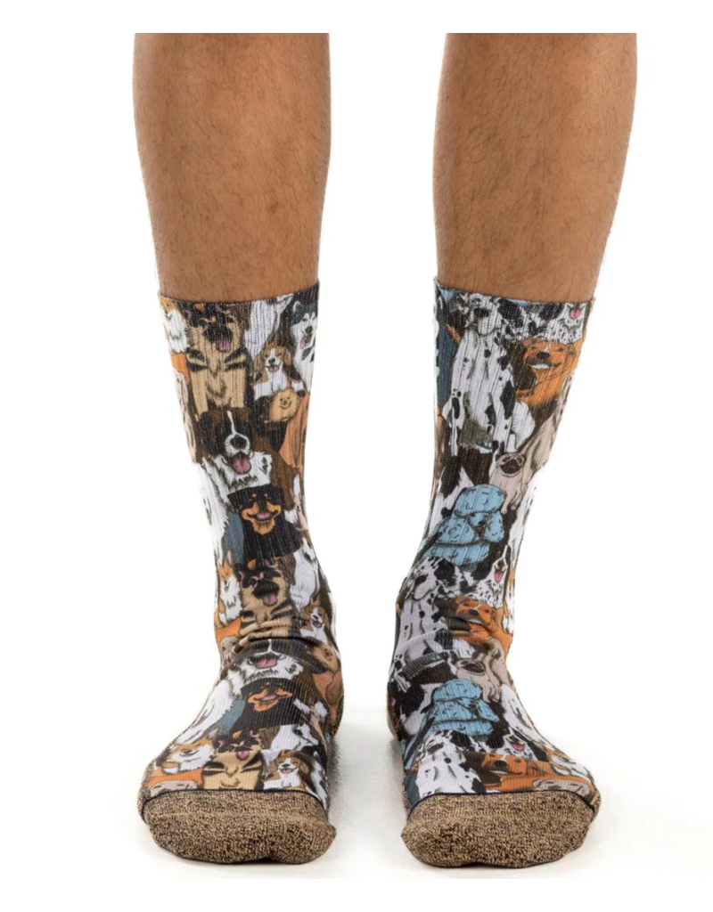 Good Luck Socks Men's Social Dog Socks