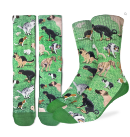 Good Luck Socks Men's Dogs Pooping Socks
