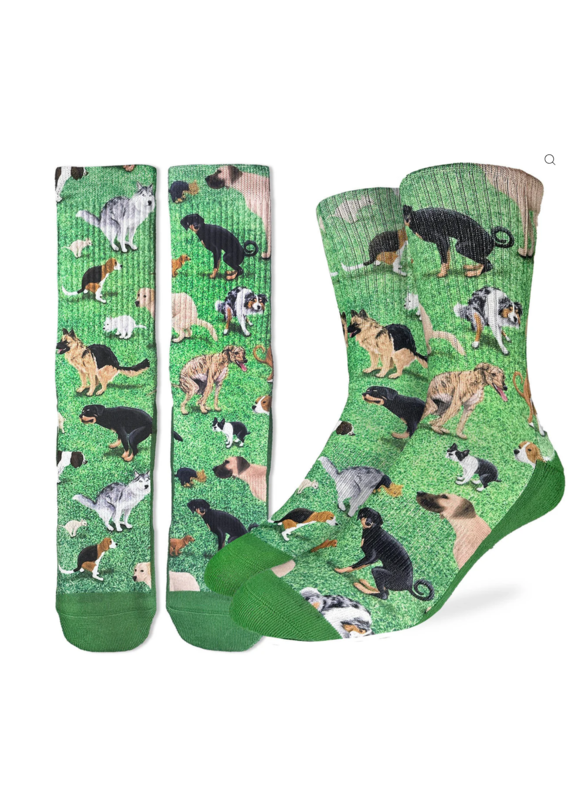 Good Luck Socks Men's Dogs Pooping Socks