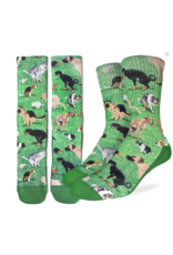 Good Luck Socks Men's Dogs Pooping Socks