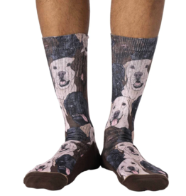 Good Luck Socks Men's Labrador Retrievers Socks