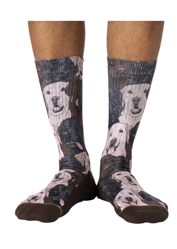 Good Luck Socks Men's Labrador Retrievers Socks