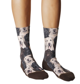 Good Luck Socks Women's Labrador Retrievers Socks