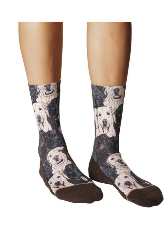 Good Luck Socks Women's Labrador Retrievers Socks